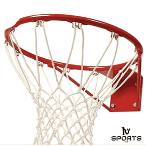 Professional Basketball Ring with Net – Built for Champions!